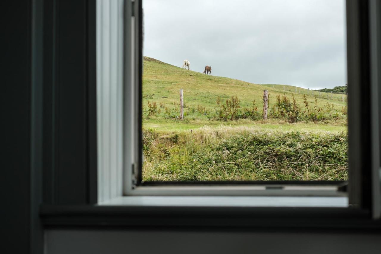 The Doolin